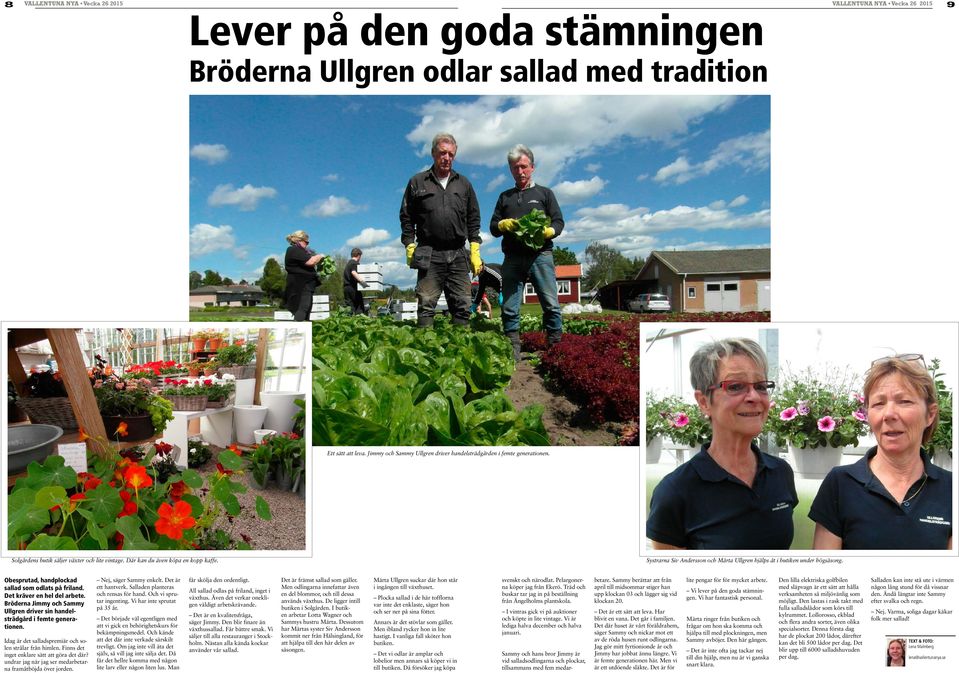 Systrarna Siv Andersson och Märta Ullgren hjälps åt i butiken under högsäsong. Obesprutad, handplockad sallad som odlats på friland. Det kräver en hel del arbete.