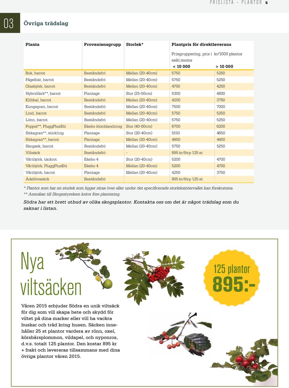 Hybridlärk**, barrot Plantage Stor (25-50cm) 5300 4800 Klibbal, barrot Beståndsfrö Mellan (20-40cm) 4250 3750 Kungsgran, barrot Beståndsfrö Mellan (20-40cm) 7500 7000 Lind, barrot Beståndsfrö Mellan