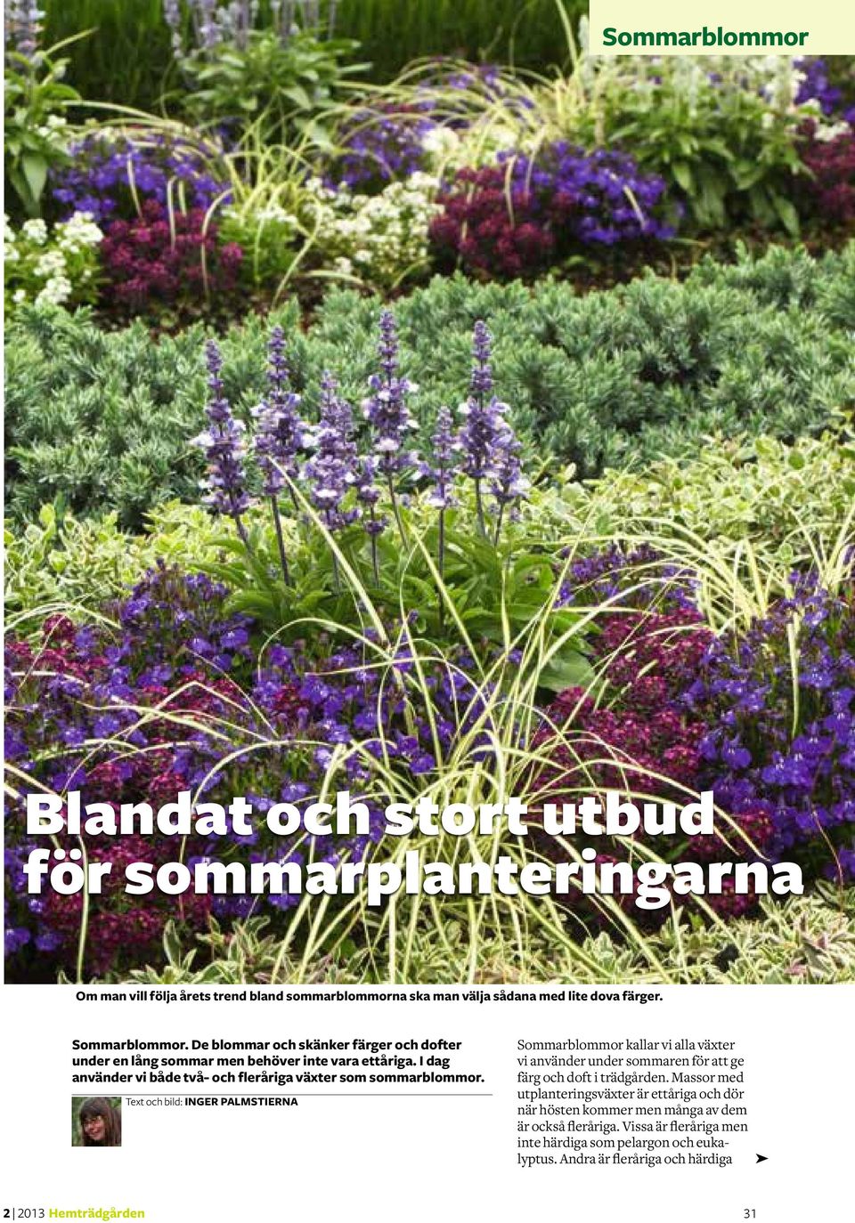 Text och bild: Inger Palmstierna Sommarblommor kallar vi alla växter vi använder under sommaren för att ge färg och doft i trädgården.