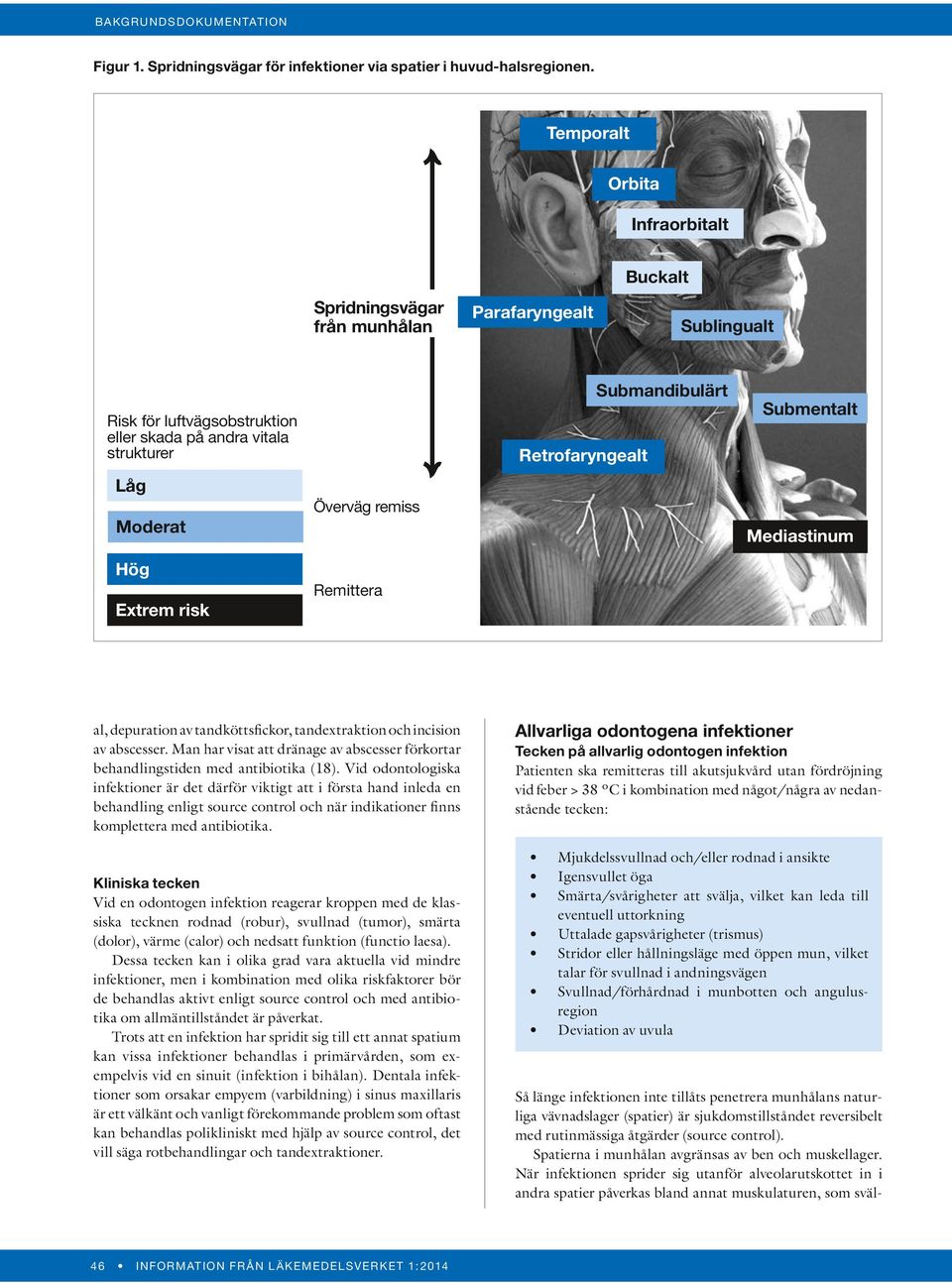 remiss Remittera Retrofaryngealt Submandibulärt Submentalt Mediastinum al, depuration av tandköttsfickor, tandextraktion och incision av abscesser.