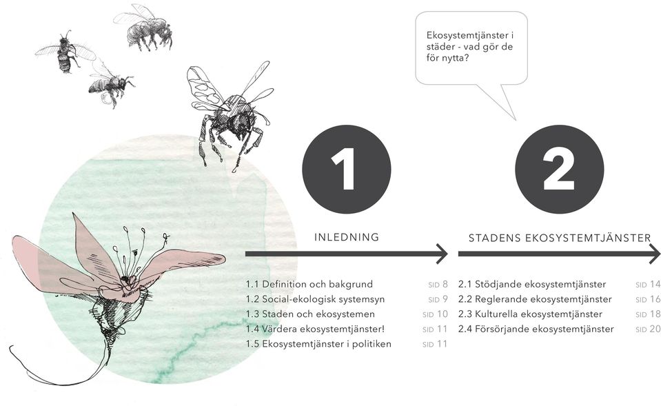 4 Värdera ekosystemtjänster! 1.5 Ekosystemtjänster i politiken SID 8 SID 9 SID 10 SID 11 SID 11 2.