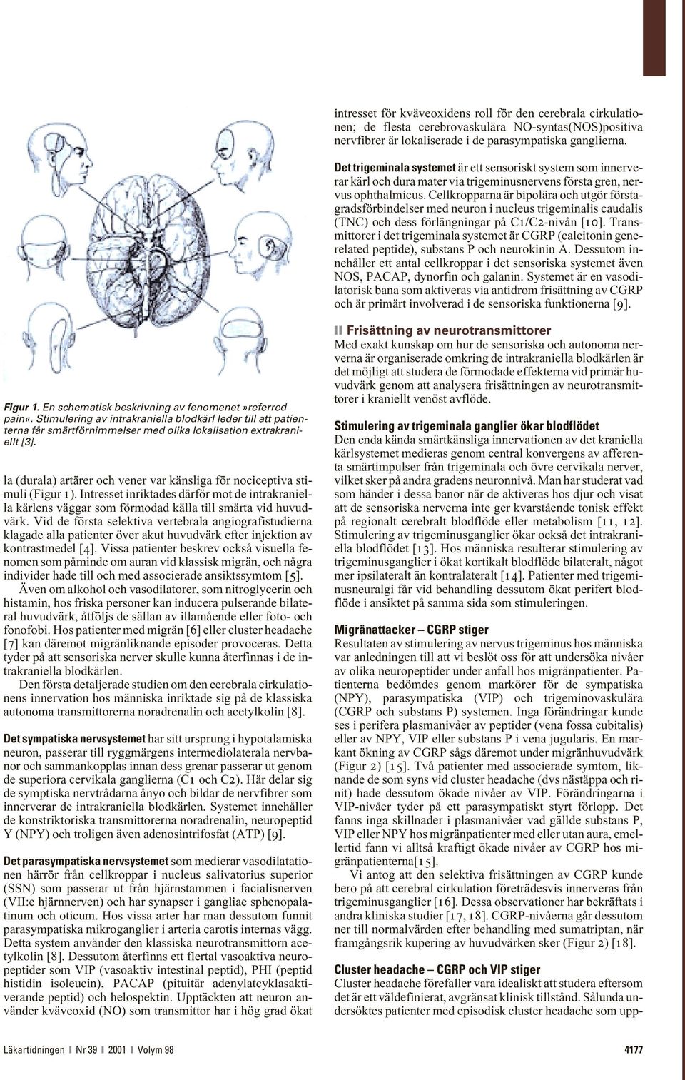 Cellkropparna är bipolära och utgör förstagradsförbindelser med neuron i nucleus trigeminalis caudalis (TNC) och dess förlängningar på C1/C2-nivån [10].