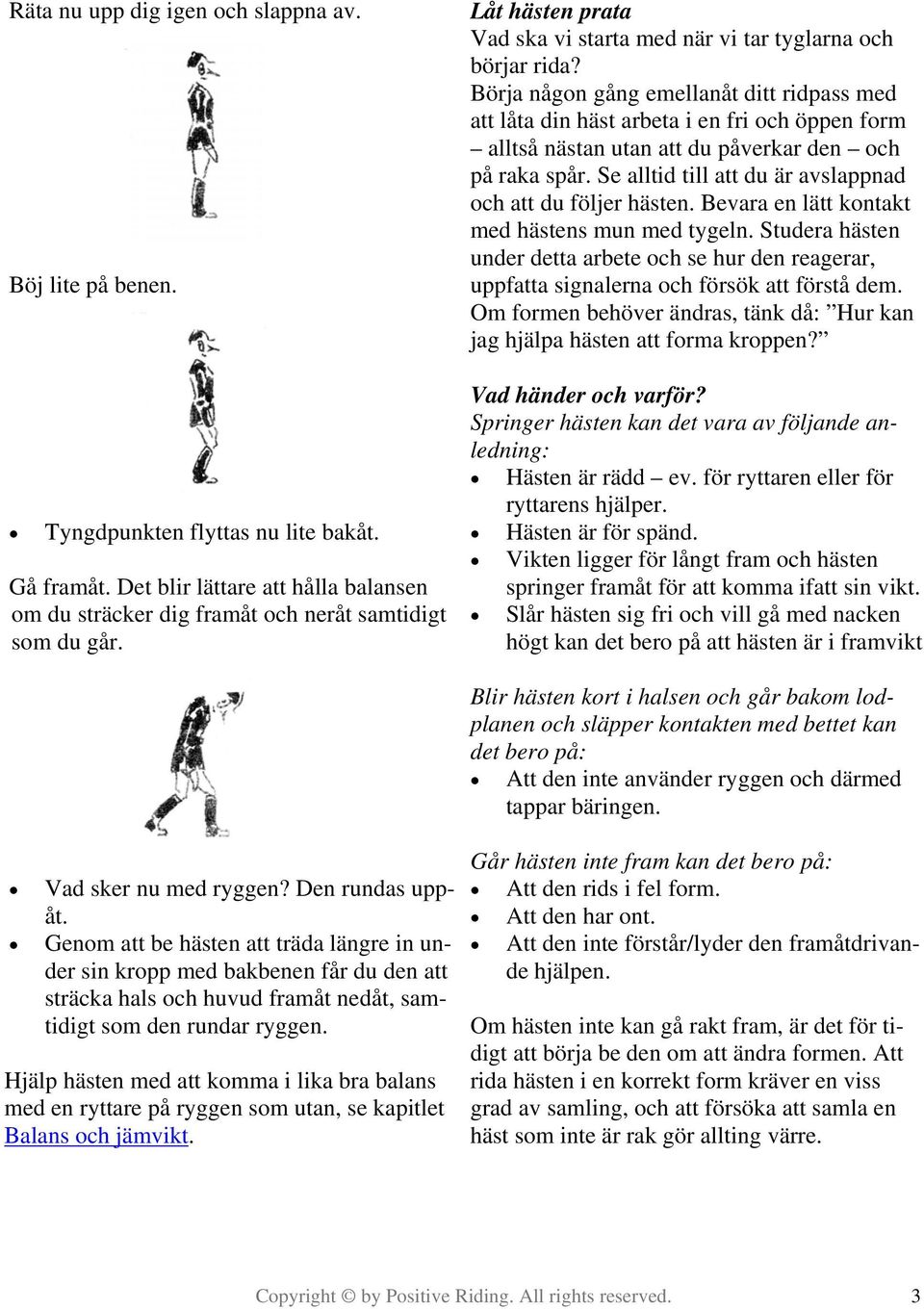 Börja någon gång emellanåt ditt ridpass med att låta din häst arbeta i en fri och öppen form alltså nästan utan att du påverkar den och på raka spår.