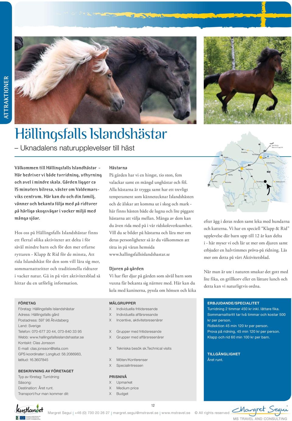 Hos oss på Hällingsfalls Islandshästar finns ett flertal olika aktiviteter att delta i för såväl mindre barn och för den mer erfarne ryttaren - Klapp & Rid för de minsta, Att rida Islandshäst för den