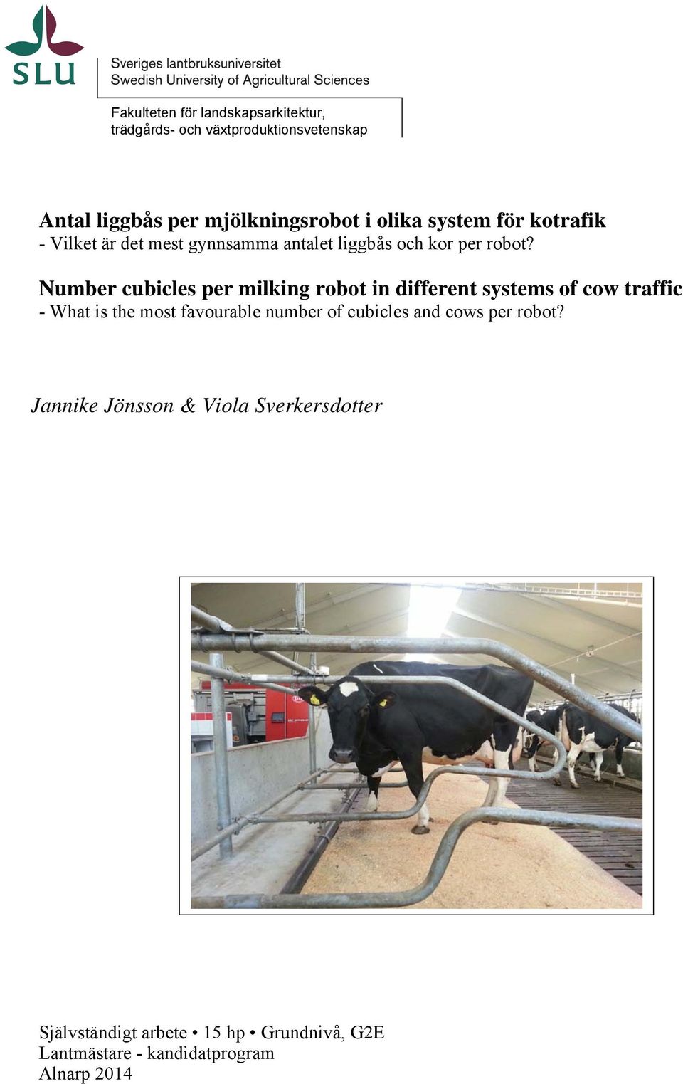 Number cubicles per milking robot in different systems of cow traffic - What is the most favourable number of