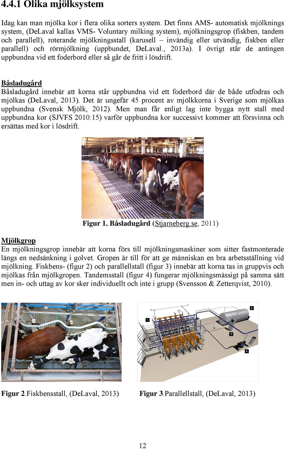 utvändig, fiskben eller parallell) och rörmjölkning (uppbundet, DeLaval., 2013a). I övrigt står de antingen uppbundna vid ett foderbord eller så går de fritt i lösdrift.