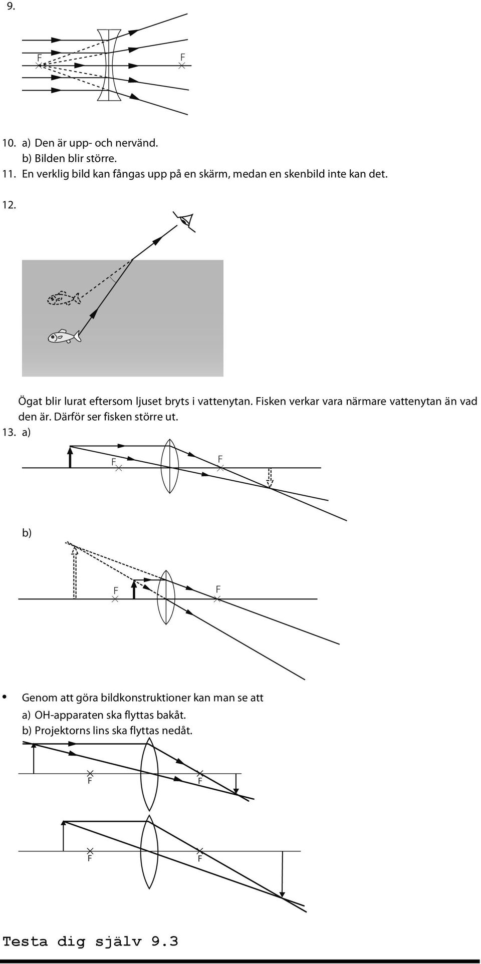 Ögat blir lurat eftersom ljuset bryts i vattenytan. Fisken verkar vara närmare vattenytan än vad den är.