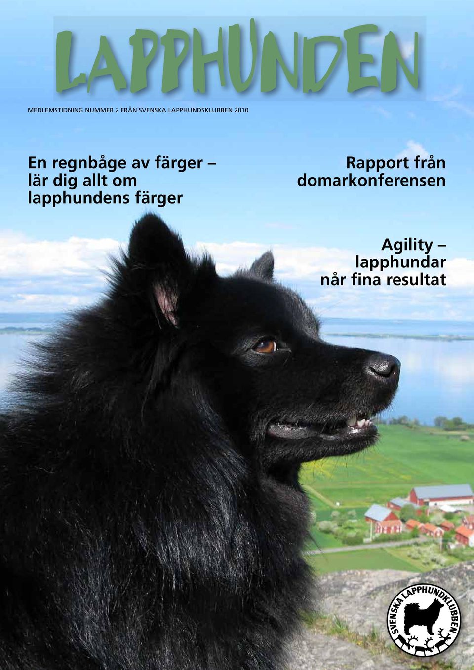 lär dig allt om lapphundens färger Rapport