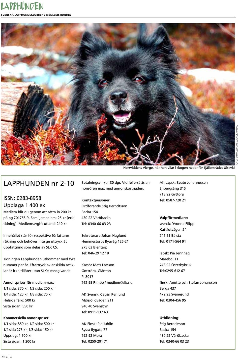Tidningen Lapphunden utkommer med fyra nummer per år. Eftertryck av enskilda artiklar är icke tillåtet utan SLK:s medgivande.