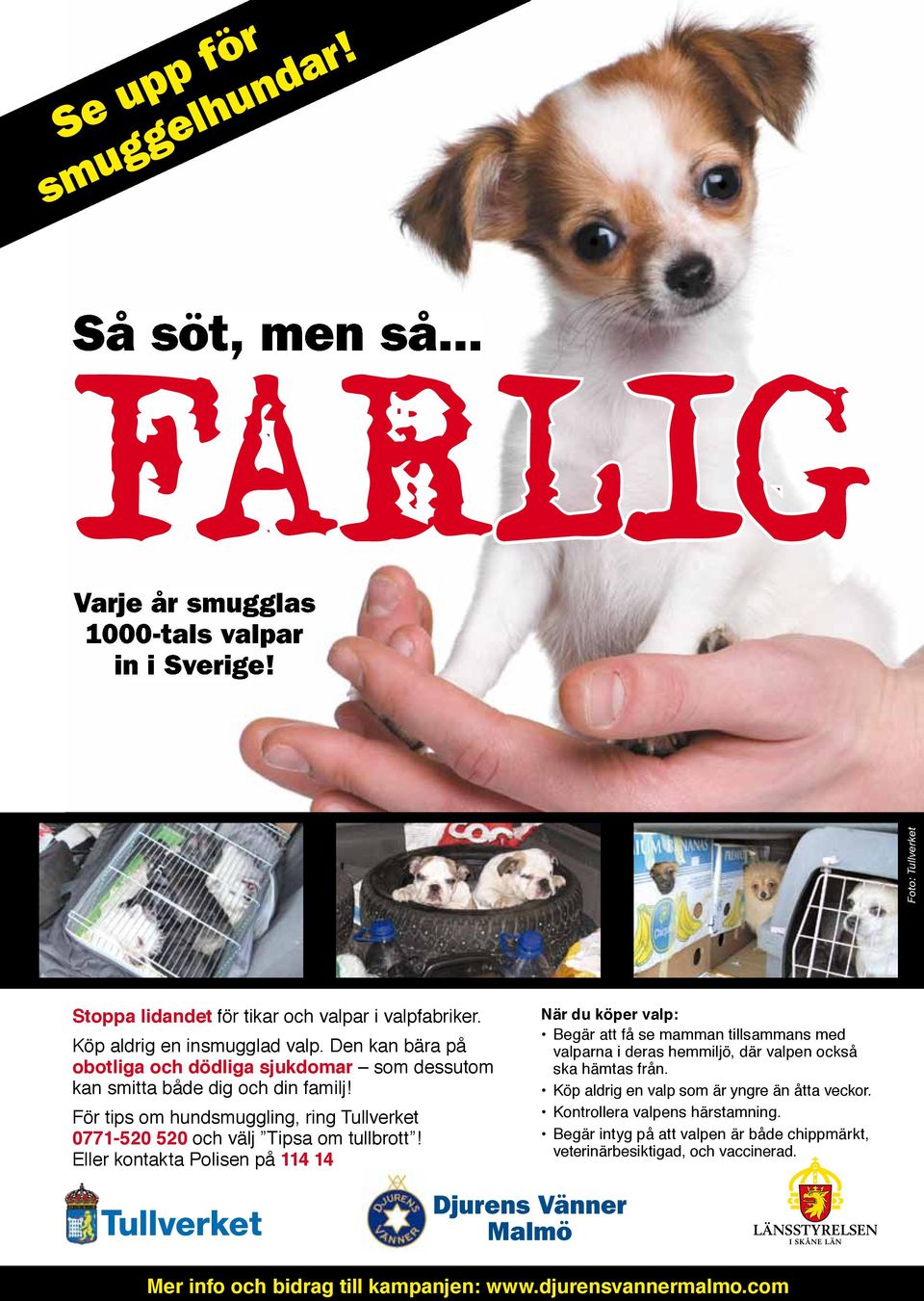 För tips om hundsmuggling, ring Tullverket 0771-520 520 och välj Tipsa om tullbrott!