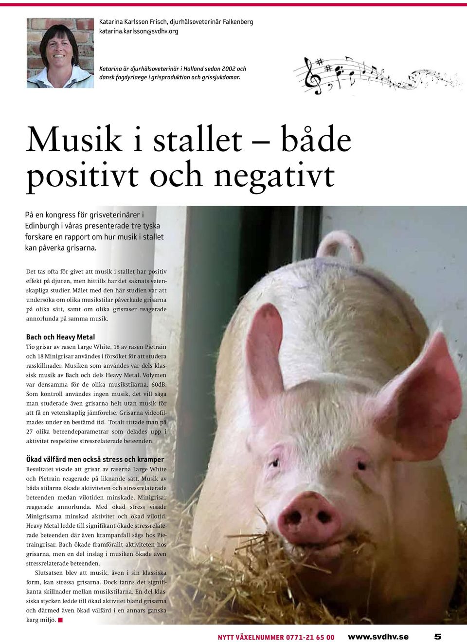 Det tas ofta för givet att musik i stallet har positiv effekt på djuren, men hittills har det saknats vetenskapliga studier.