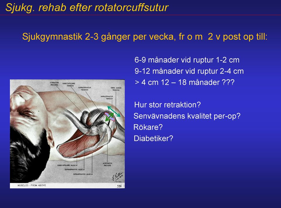 vid ruptur 2-4 cm > 4 cm 12 18 månader?