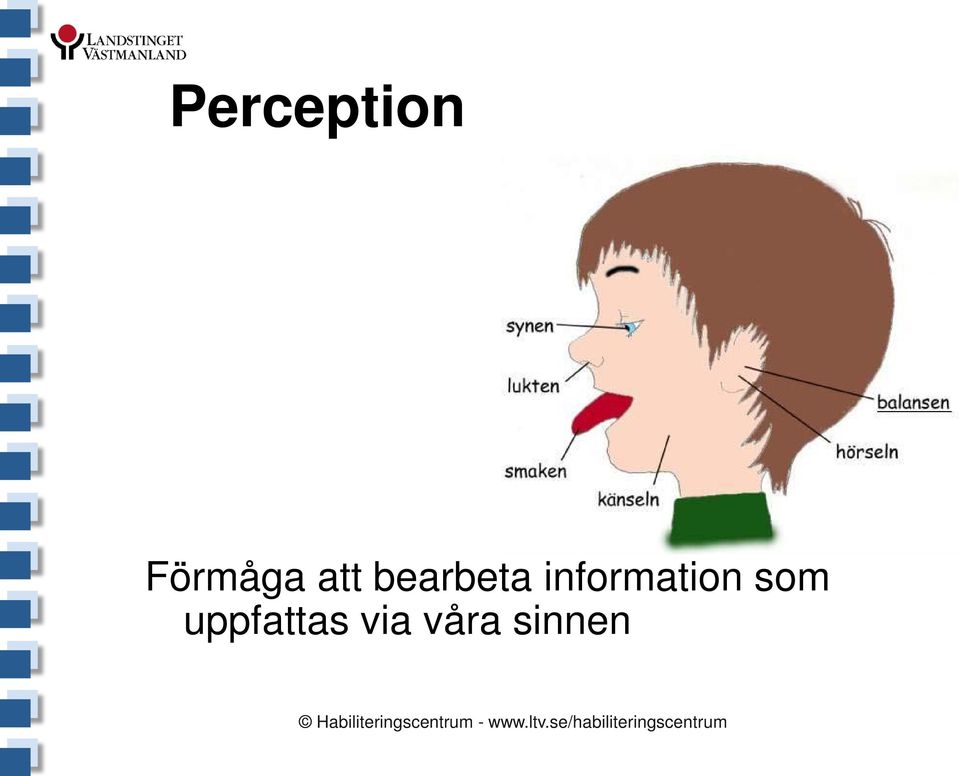 information som