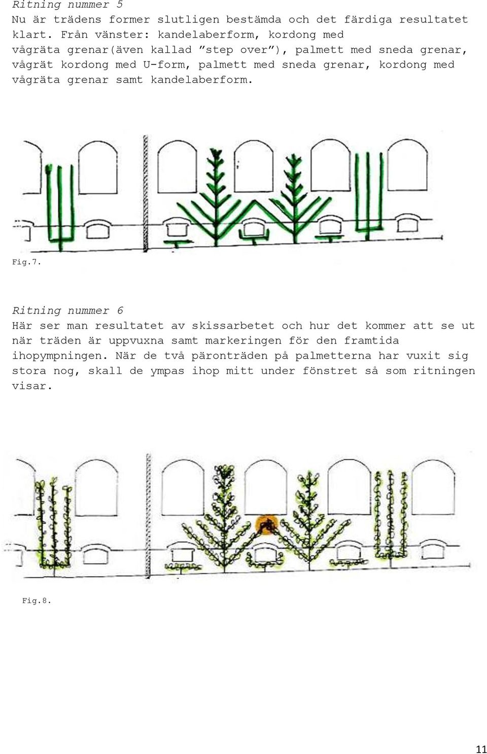 sneda grenar, kordong med vågräta grenar samt kandelaberform. Fig.7.