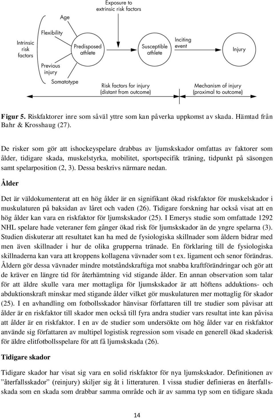 (2, 3). Dessa beskrivs närmare nedan. Ålder Det är väldokumenterat att en hög ålder är en signifikant ökad riskfaktor för muskelskador i muskulaturen på baksidan av låret och vaden (26).