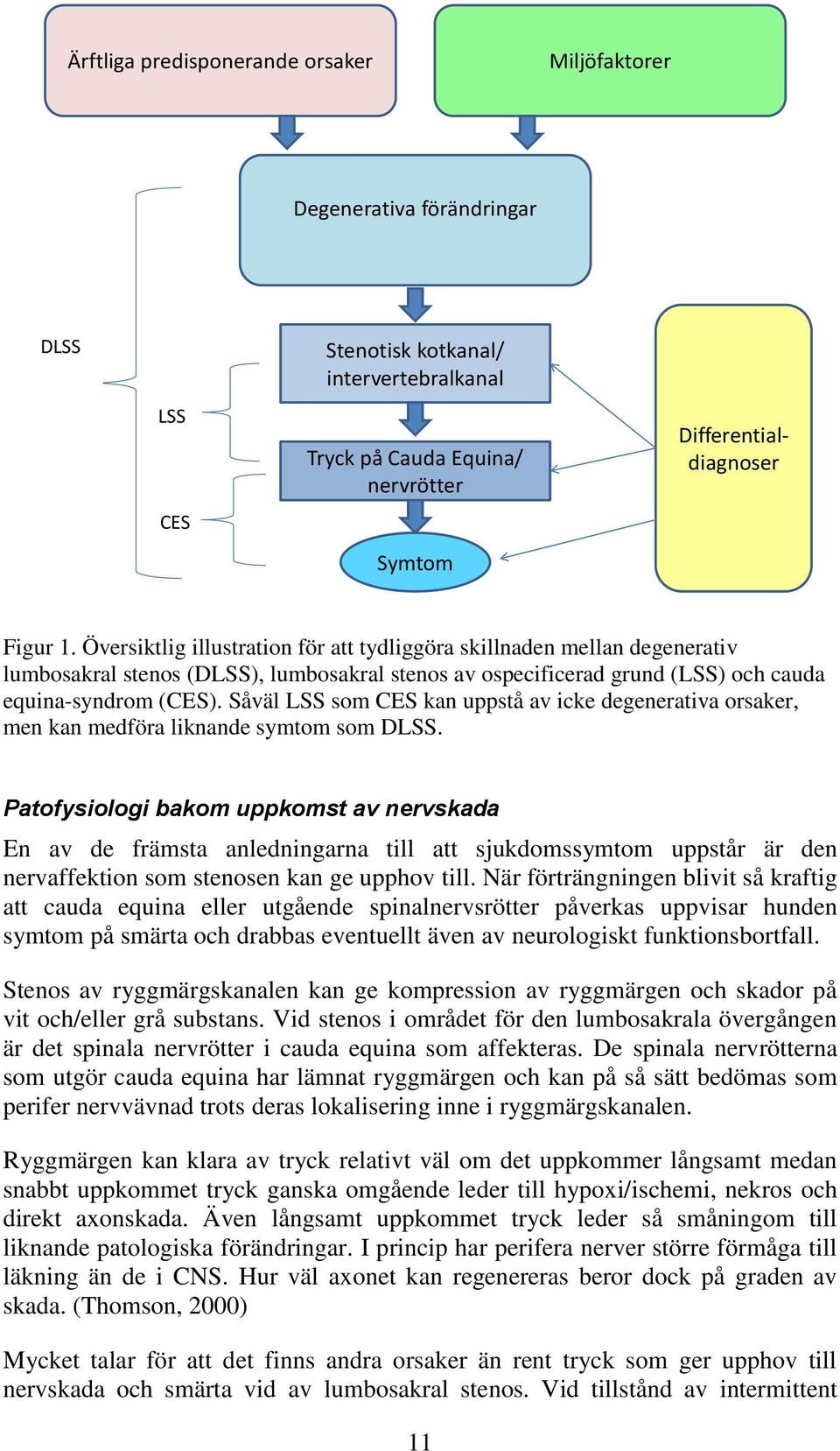 Såväl LSS som CES kan uppstå av icke degenerativa orsaker, men kan medföra liknande symtom som DLSS.