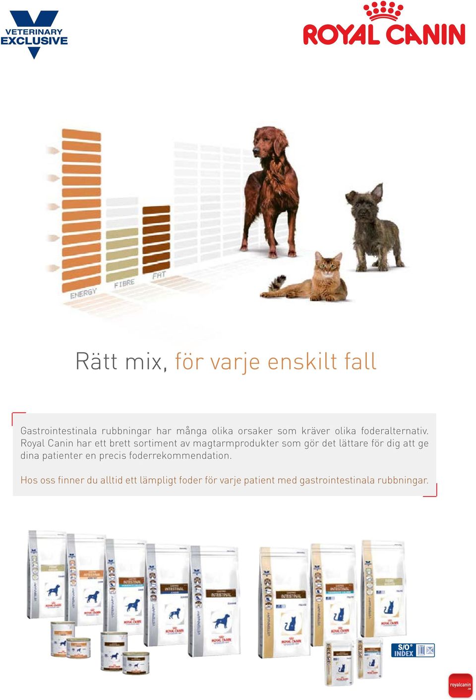 Royal Canin har ett brett sortiment av magtarmprodukter som gör det lättare för dig att