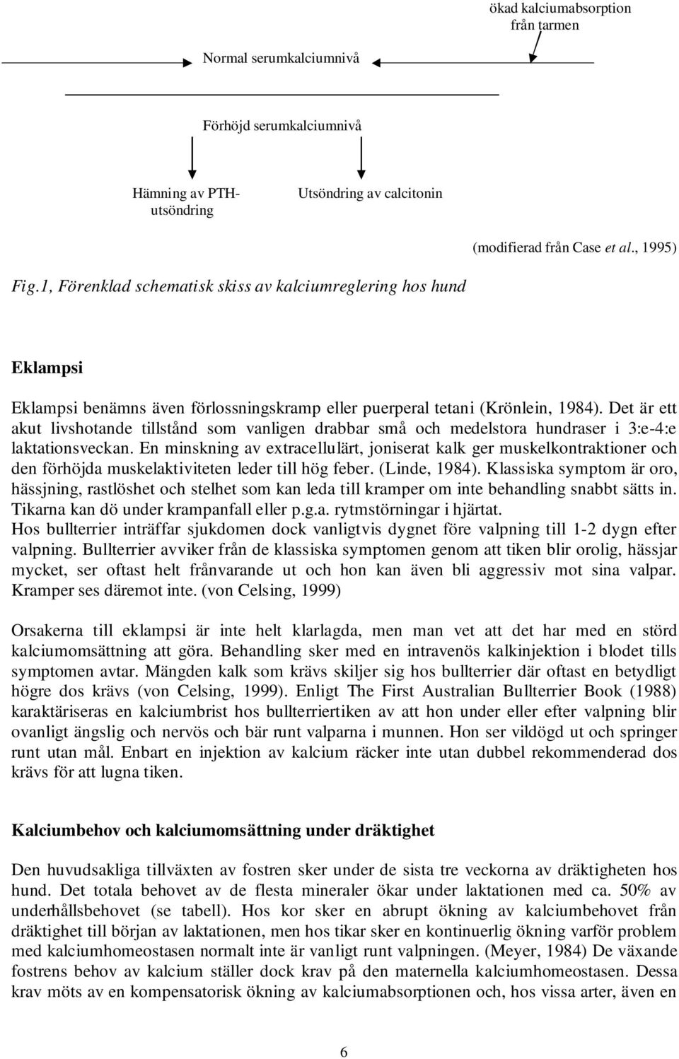 Det är ett akut livshotande tillstånd som vanligen drabbar små och medelstora hundraser i 3:e-4:e laktationsveckan.