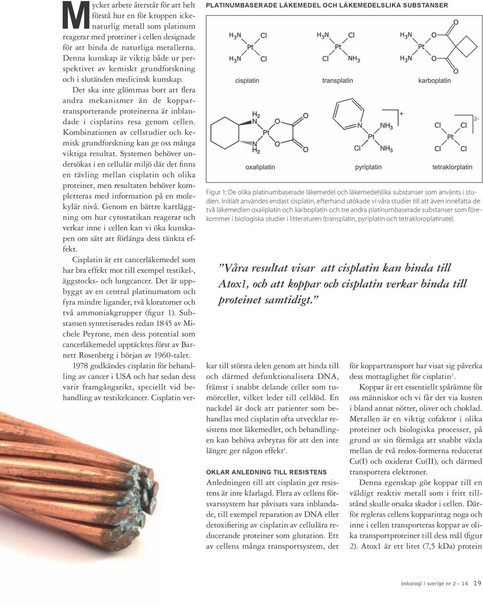 biologiska studier i litteraturen (transplatin, pyriplatin och tetrakloroplatinate).