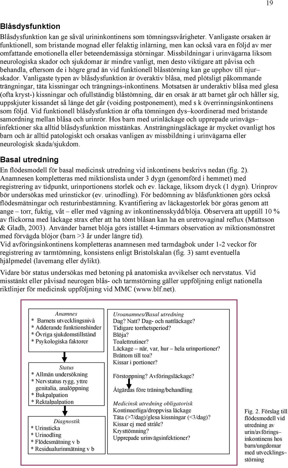 Missbildningar i urinvägarna liksom neurologiska skador och sjukdomar är mindre vanligt, men desto viktigare att påvisa och behandla, eftersom de i högre grad än vid funktionell blåsstörning kan ge