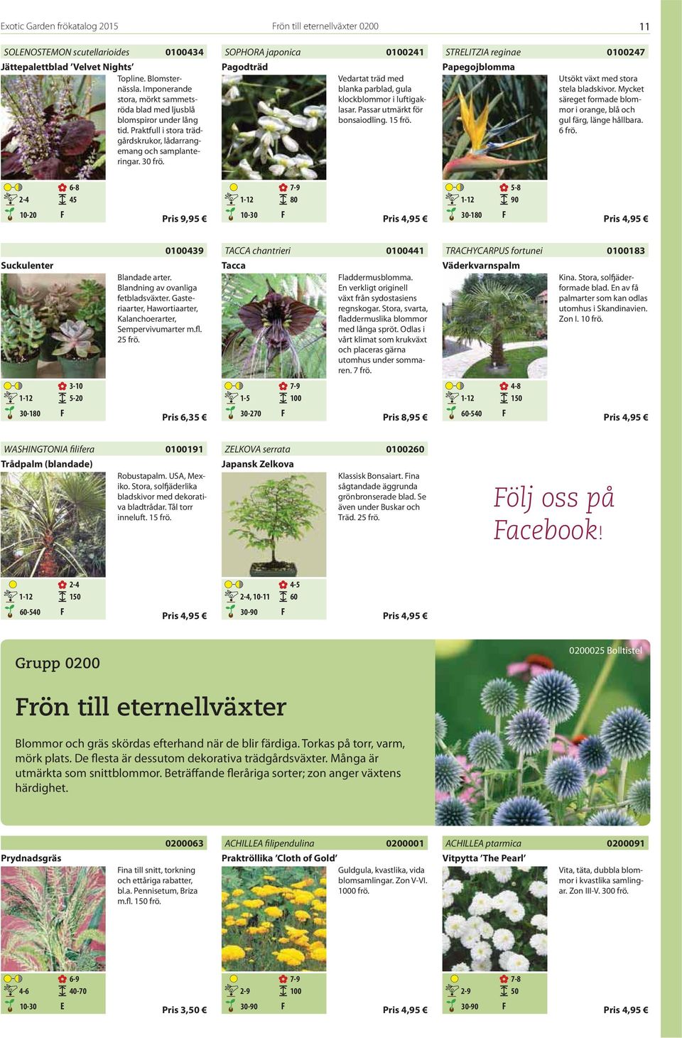 SOPHORA japonica Pagodträd 0100241 Vedartat träd med blanka parblad, gula klockblommor i luftigaklasar. Passar utmärkt för bonsaiodling. frö.