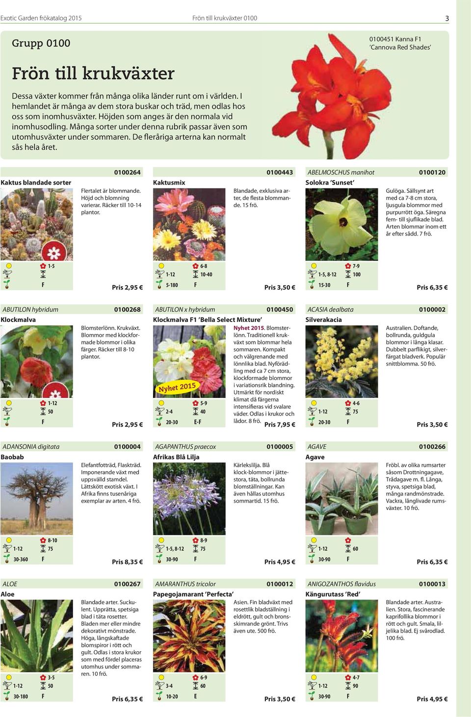 Många sorter under denna rubrik passar även som utomhusväxter under sommaren. De fleråriga arterna kan normalt sås hela året. Kaktus blandade sorter 0100264 lertalet är blommande.