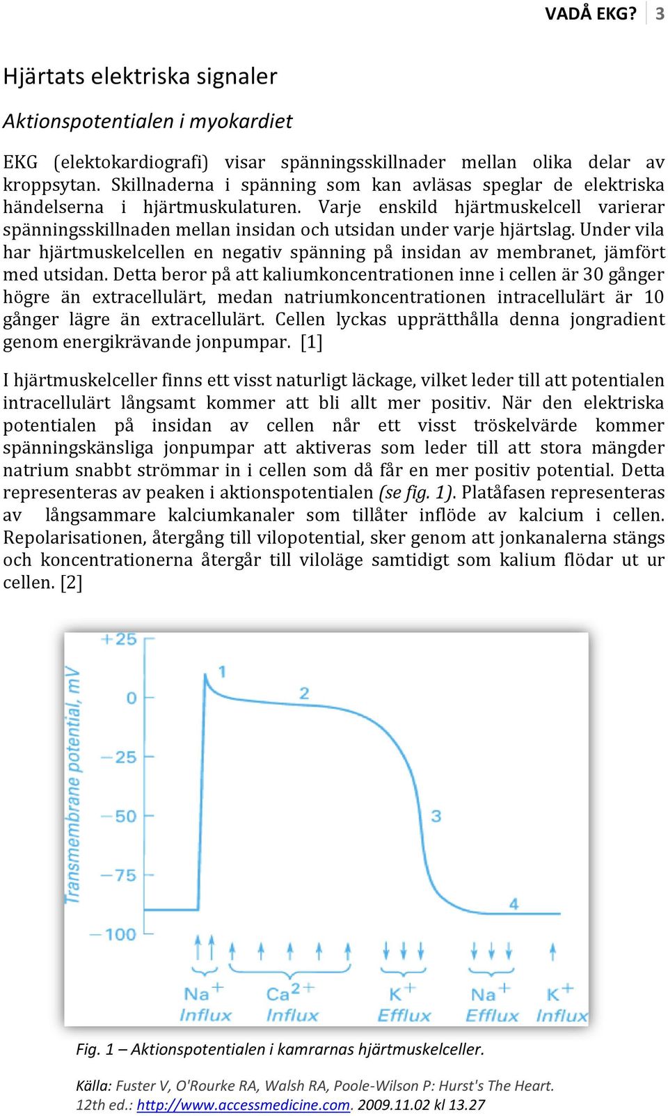 Varje enskild hjärtmuskelcell varierar spänningsskillnaden mellan insidan och utsidan under varje hjärtslag.