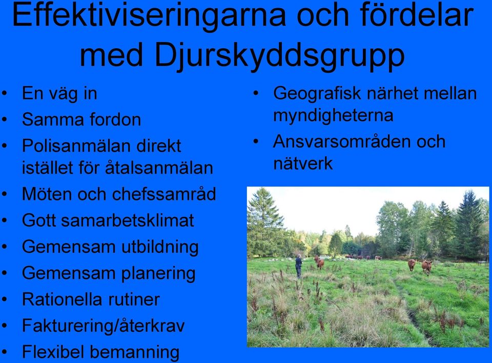 samarbetsklimat Gemensam utbildning Gemensam planering Rationella rutiner