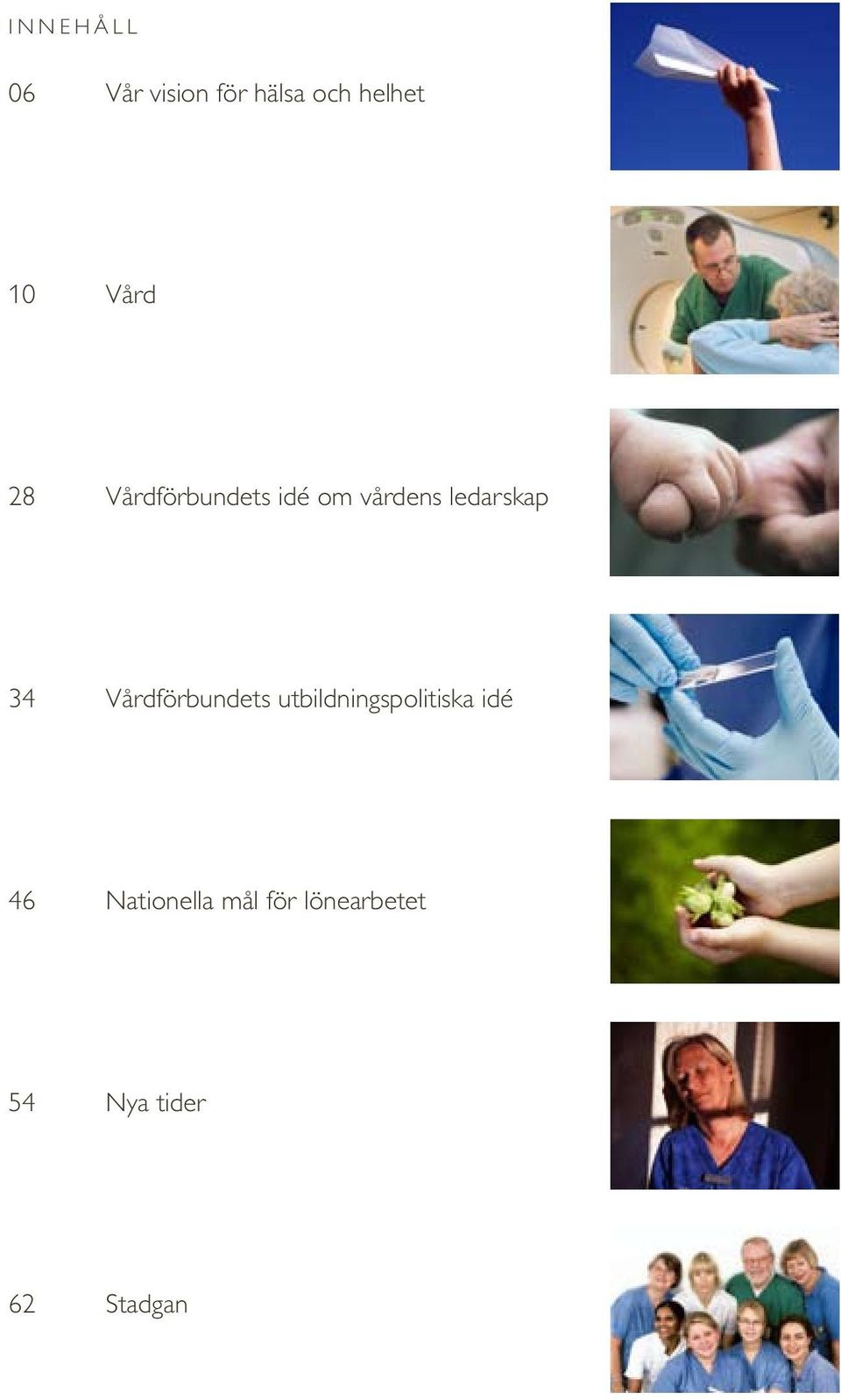 34 Vårdförbundets utbildningspolitiska idé 46