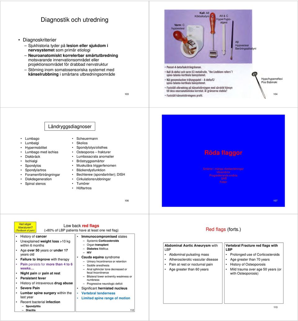 utbredningsområde Aβ Hypoestesi Beröringsallodyni Hypo/hyperreflexi Pos Babinski 103 104 Ländryggsdiagnoser Lumbago Lumbalgi Hypermobilitet Lumbago med ischias Diskbråck Ischialgi Spondylos