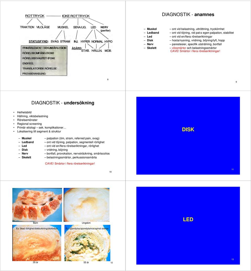 8 9 DIAGNOSTIK - undersökning Helhetsbild Hållning, viktsbelastning Rörelsemönster Regional screening Primär etiologi sek.