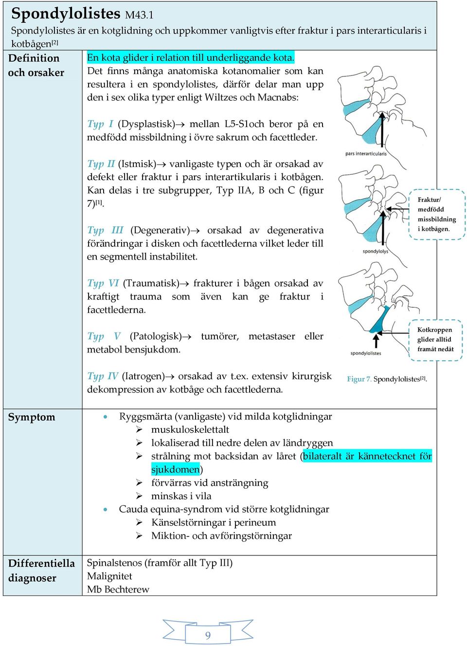 Det finns många anatomiska kotanomalier som kan resultera i en spondylolistes, därför delar man upp den i sex olika typer enligt Wiltzes och Macnabs: Typ I (Dysplastisk) mellan L5-S1och beror på en