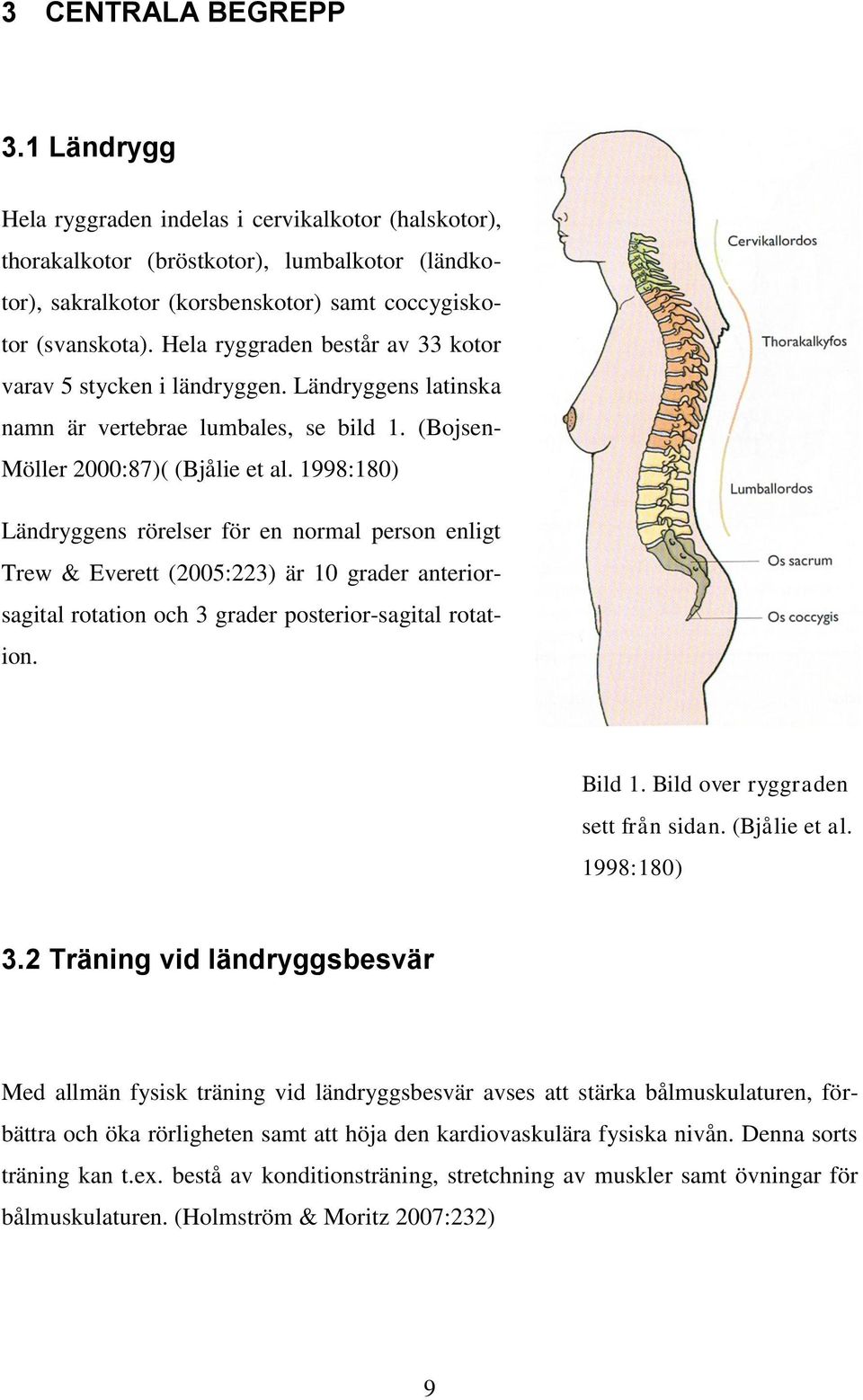 1998:180) Ländryggens rörelser för en normal person enligt Trew & Everett (2005:223) är 10 grader anteriorsagital rotation och 3 grader posterior-sagital rotation. Bild 1.