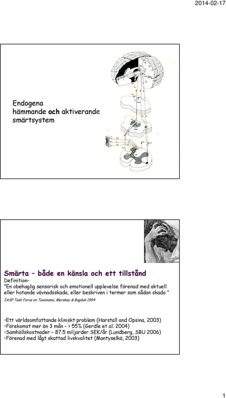 Taxonomy, Merskey & Bogduk 1994 Ett världsomfattande kliniskt problem (Harstall and Opsina, 2003) Förekomst mer än 3 mån - > 55%