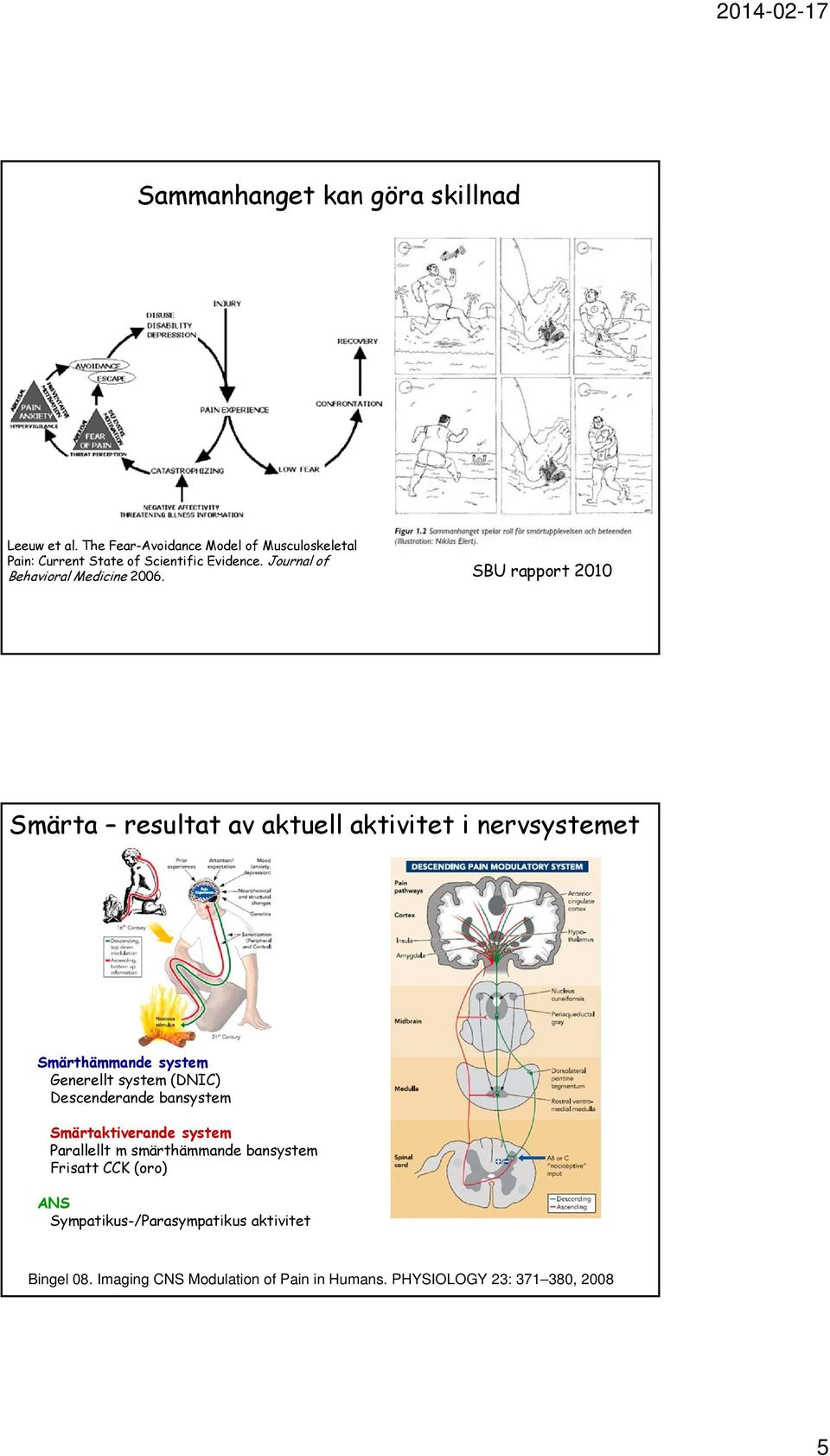 SBU rapport 2010 Smärta resultat av aktuell aktivitet i nervsystemet Smärthämmande system Generellt system (DNIC) Descenderande