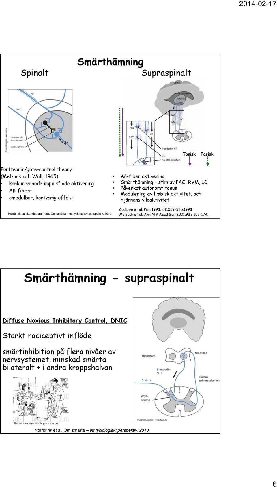 Om smärta ett fysiologiskt perspektiv. 2010 Coderre et al. Pain 1993; 52:259-285.1993 Melzack et al. Ann N Y Acad Sci. 2001;933:157-174.