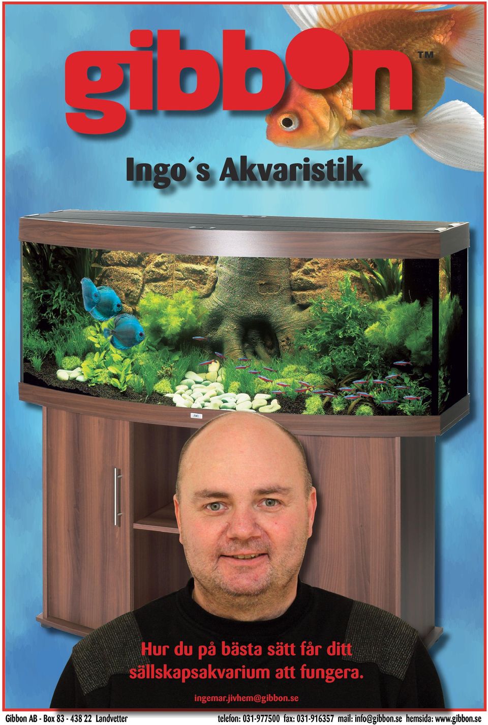 sällskapsakvarium att