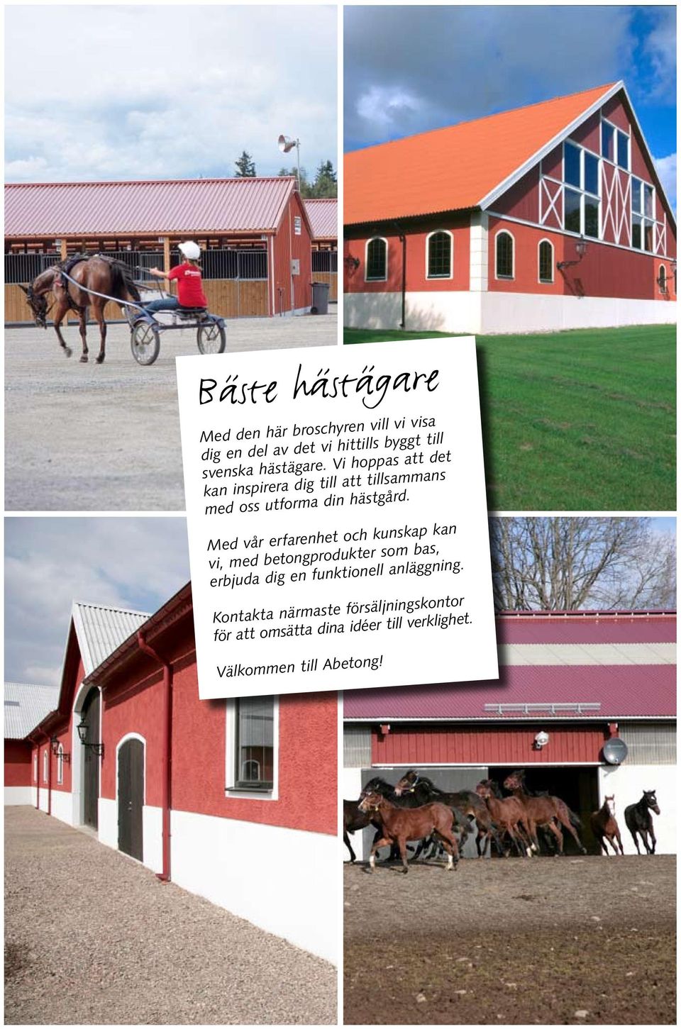 Häst. ridhus och stall pdf