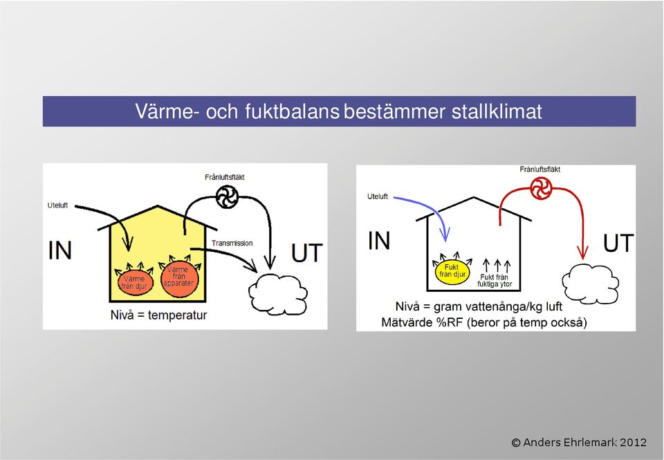 bestämmer