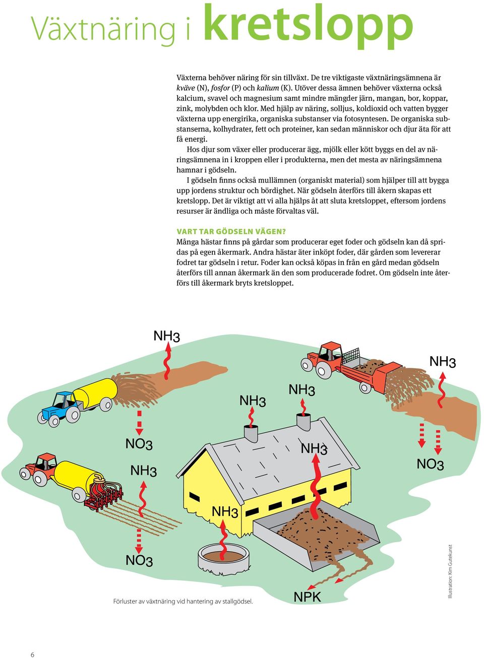 Med hjälp av näring, solljus, koldioxid och vatten bygger växterna upp energirika, organiska substanser via fotosyntesen.