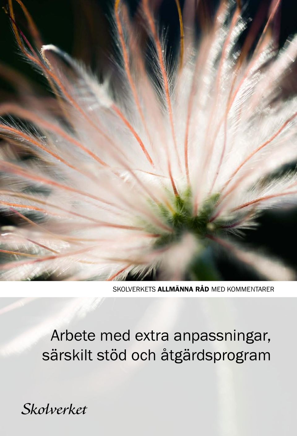 med extra anpassningar,