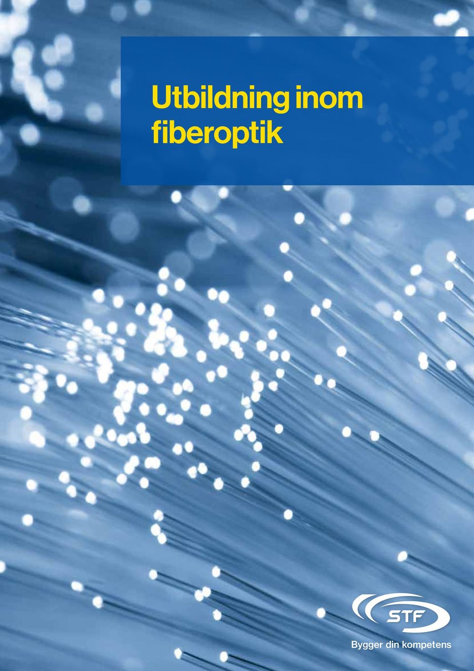 fiberoptik