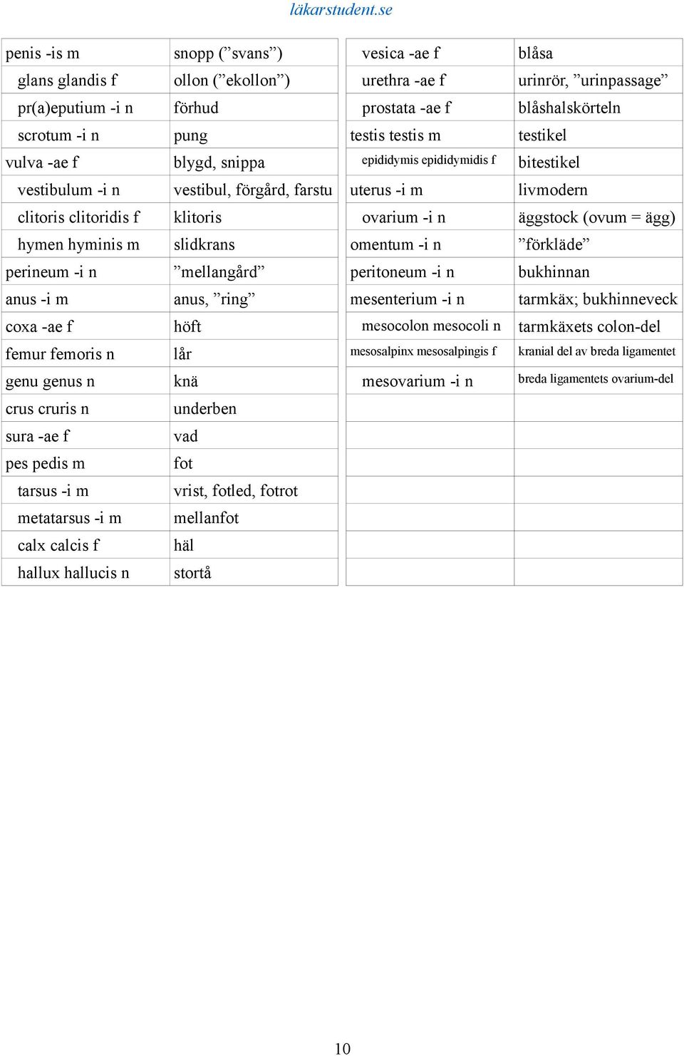 (ovum = ägg) hymen hyminis m slidkrans omentum -i n förkläde perineum -i n mellangård peritoneum -i n bukhinnan anus -i m anus, ring mesenterium -i n tarmkäx; bukhinneveck coxa -ae f höft mesocolon