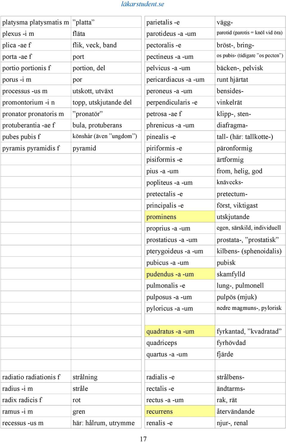 -um bensidespromontorium -i n topp, utskjutande del perpendicularis -e vinkelrät pronator pronatoris m pronatör petrosa -ae f klipp-, stenprotuberantia -ae f bula, protuberans phrenicus -a -um