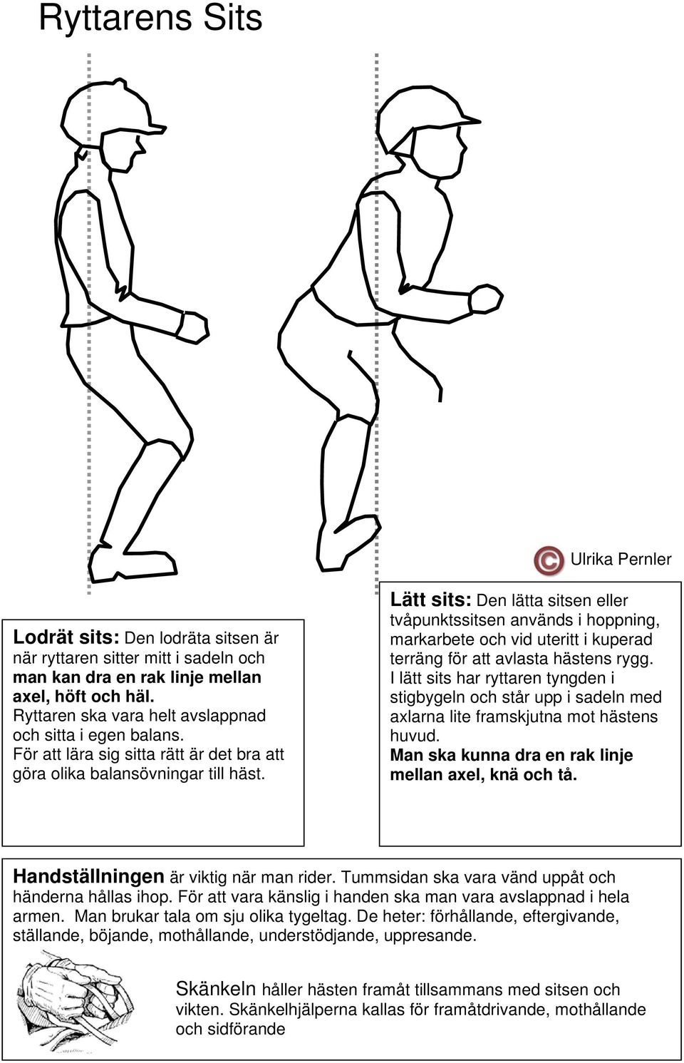 Lätt sits: Den lätta sitsen eller tvåpunktssitsen används i hoppning, markarbete och vid uteritt i kuperad terräng för att avlasta hästens rygg.