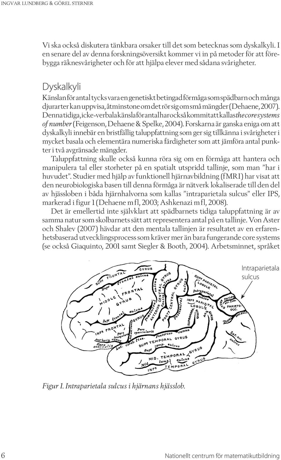 Dyskalkyli Känslan för antal tycks vara en genetiskt betingad förmåga som spädbarn och många djurarter kan uppvisa, åtminstone om det rör sig om små mängder (Dehaene, 2007).