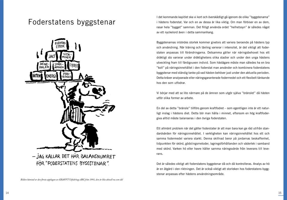 Byggstenarnas inbördes storlek kommer givetvis att variera beroende på hästens typ och användning.