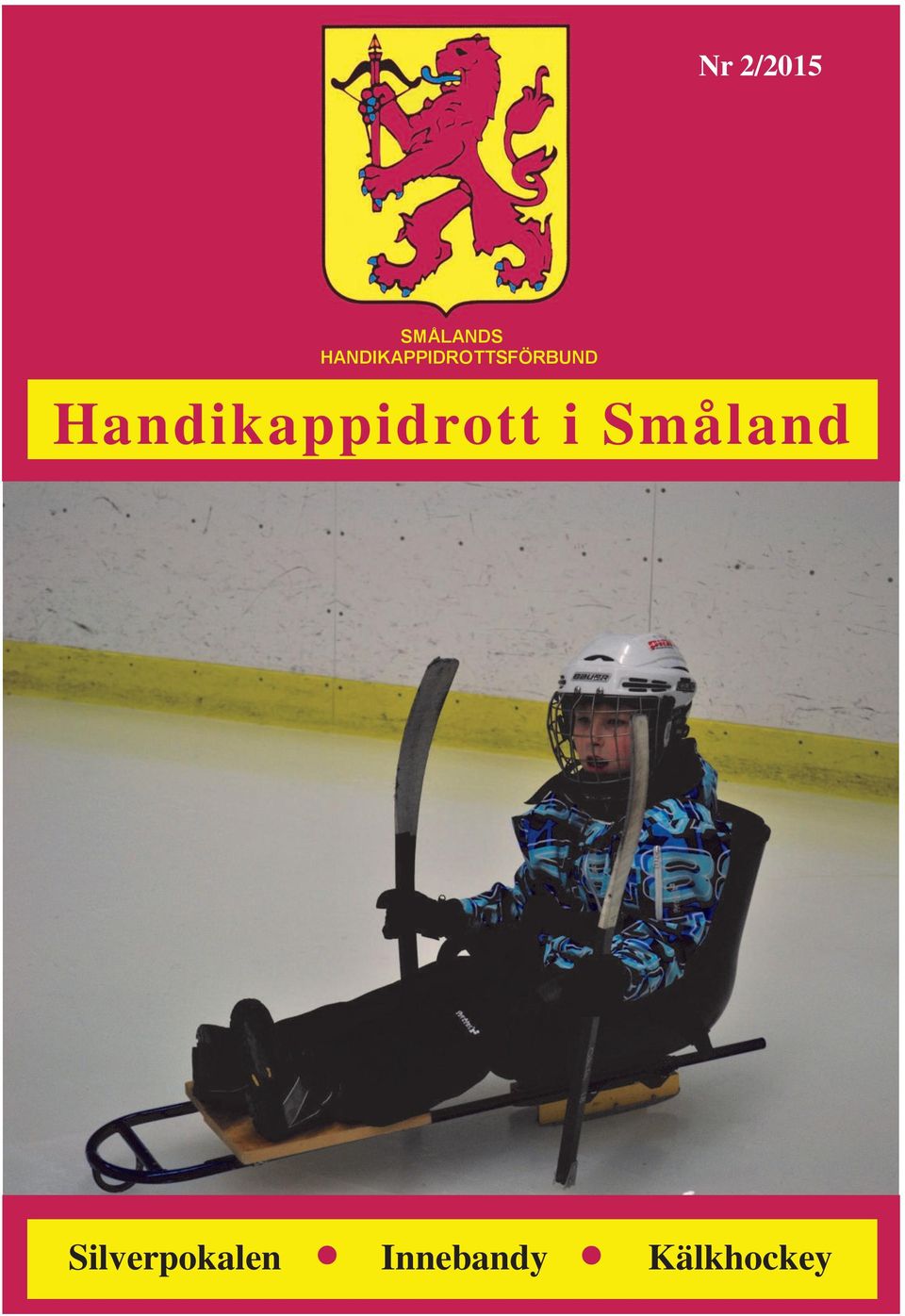 Handikappidrott i Småland