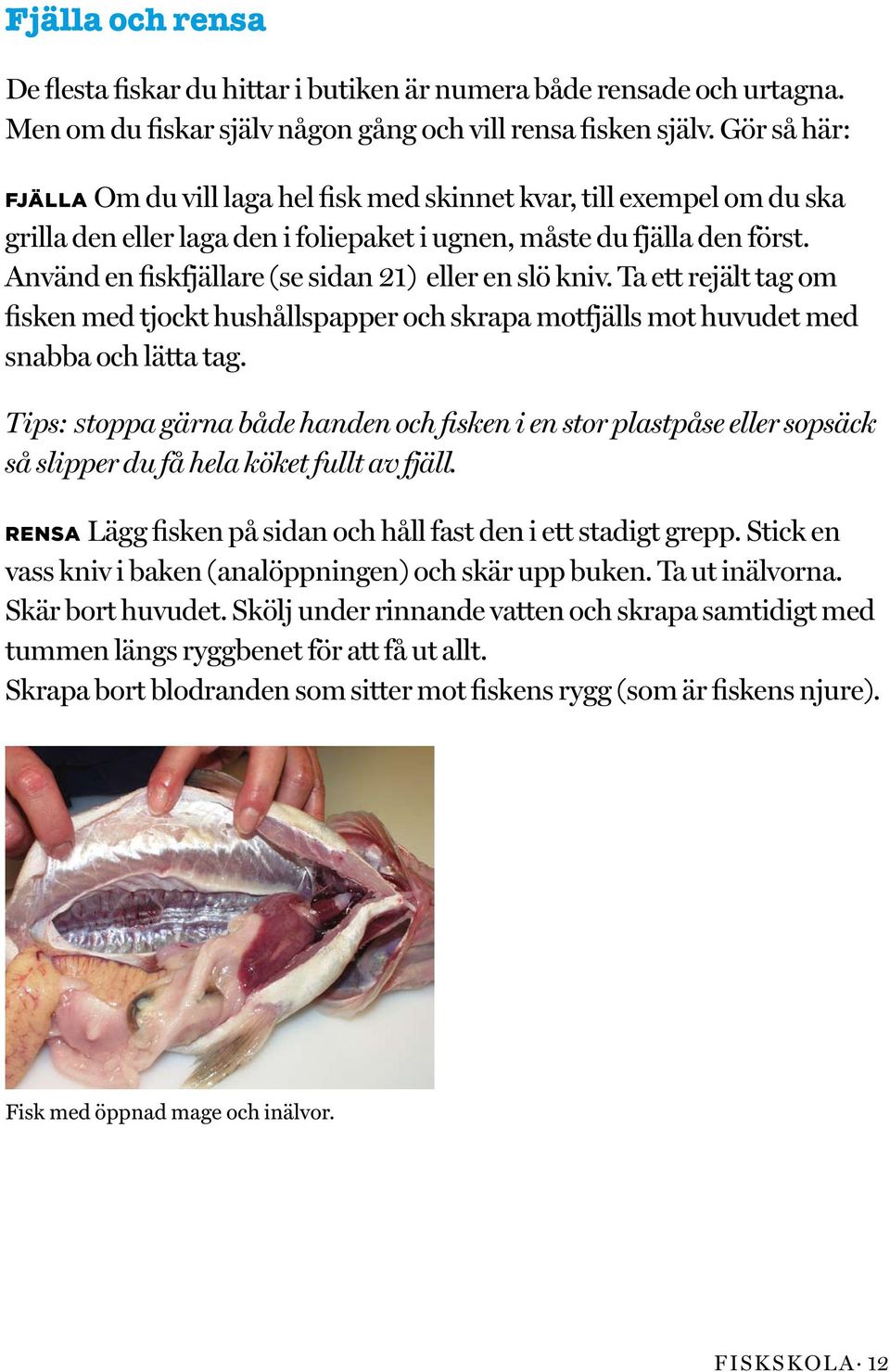 Använd en fiskfjällare (se sidan 21) eller en slö kniv. Ta ett rejält tag om fisken med tjockt hushållspapper och skrapa motfjälls mot huvudet med snabba och lätta tag.