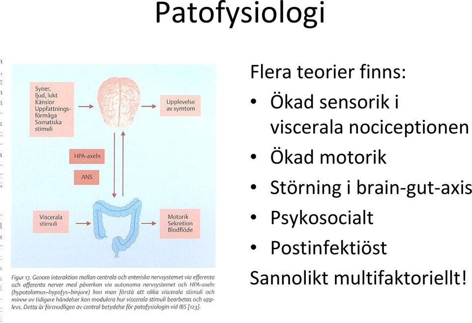 motorik Störning i brain gut axis